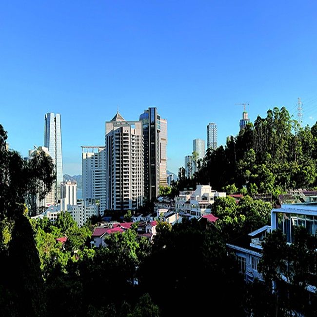 山灵音响——肯定自我，冲向国际